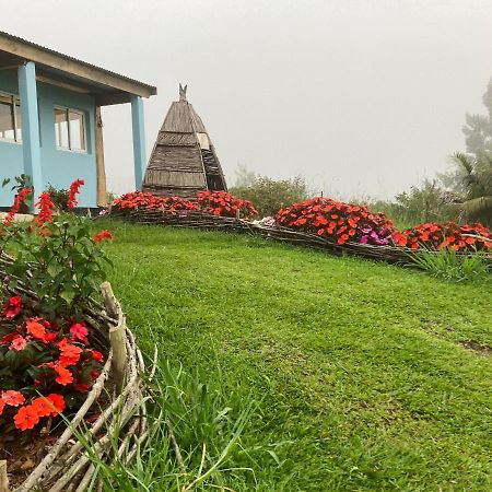 Au Coeur De La Cascade Biberon Bed & Breakfast La Plaine des Palmistes Luaran gambar